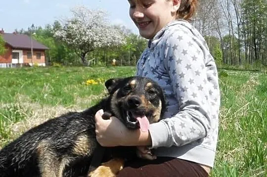 Cyganek tak bardzo pragnie miłości