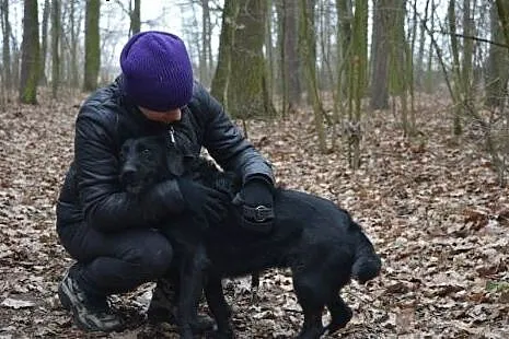 Kochana i łagodna Gilda szuka domu.,  łódzkie Toma