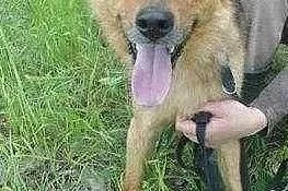 Bardzo bym chciał aby w końcu ktoś mnie adoptował i pokochał, Małopolskie, Kraków
