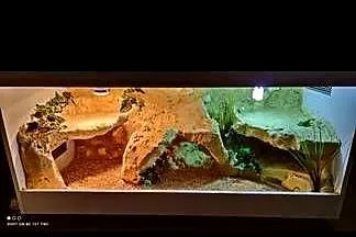 Okazja terrarium dla agamy gekona żółwia węża kameleona legwana boa pająka