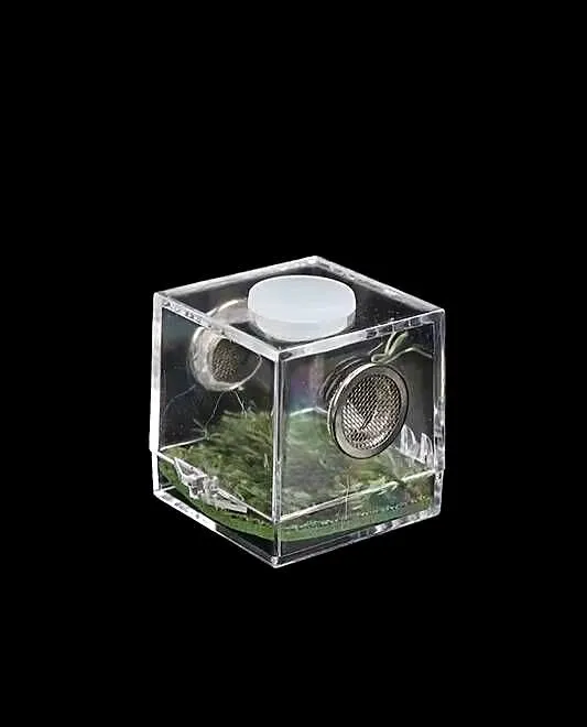10 x micro terrarium akrylowe 3,5x3,5x3,5cm z wystrojem i wentylacją, Śląskie, Pszczyna
