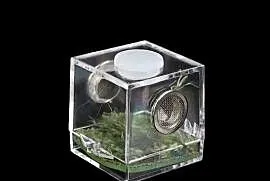 10 x micro terrarium akrylowe 3,5x3,5x3,5cm z wystrojem i wentylacją