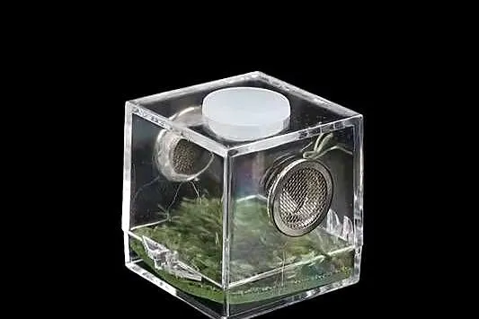 10 x micro terrarium akrylowe 3,5x3,5x3,5cm z wystrojem i wentylacją, Śląskie, Pszczyna