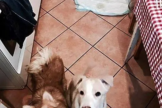 1,2,3... Dziś BEZIKA bierzesz TY!,  mazowieckie Wa