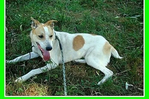 19 kg,do dzieci,rodzinny,uśmiechnięty 2 letni FLOR