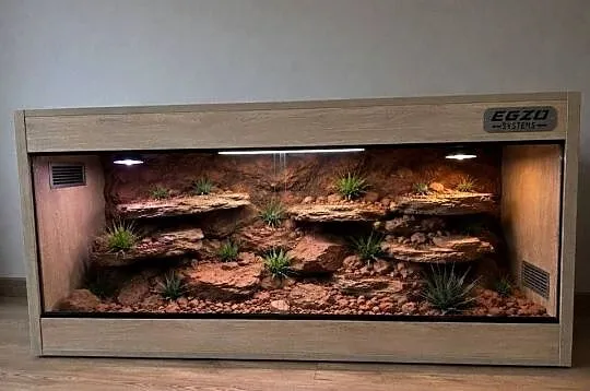 Terrarium pustynne dla żółwia greckiego agamy brodatej