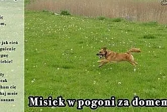Pełen emocji! Pełen energii! Pełen radości!,  mazo