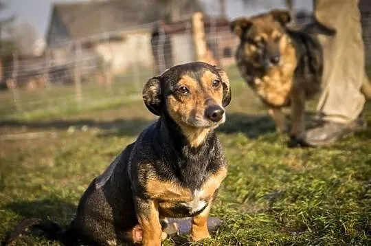 KUBULEK - niepełnosprawne maleństwo woła o pomoc!