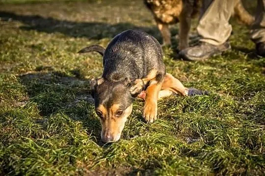 KUBULEK - niepełnosprawne maleństwo woła o pomoc!