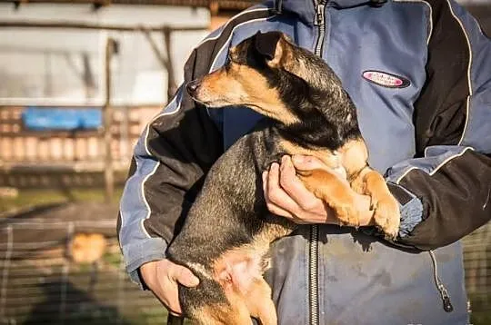 KUBULEK - niepełnosprawne maleństwo woła o pomoc!