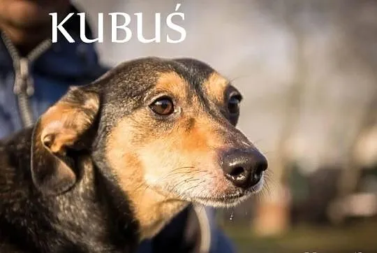 KUBULEK - niepełnosprawne maleństwo woła o pomoc!