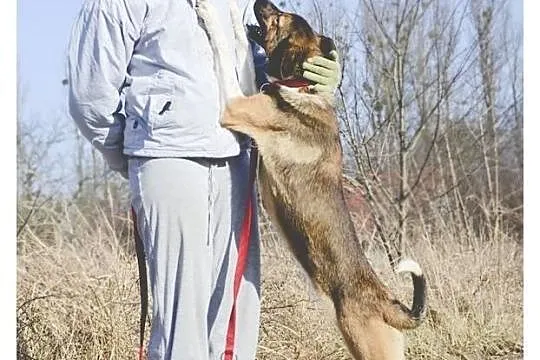 Wilda szuka nowego domu