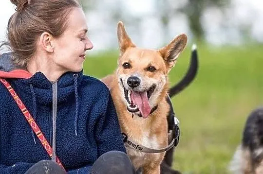 Kręcą się szybciutko koła, to TOFFIKA mordka wesołka :), Śląskie, Gliwice