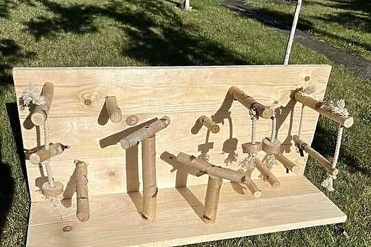 Plac zabaw dla mniejszych papug