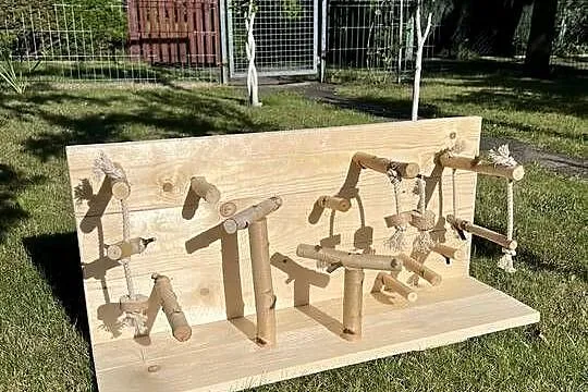 Plac zabaw dla mniejszych papug, Śląskie, Ruda Śląska