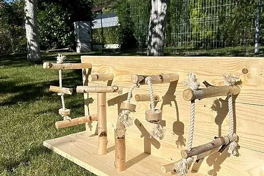 Plac zabaw dla mniejszych papug, Śląskie, Ruda Śląska