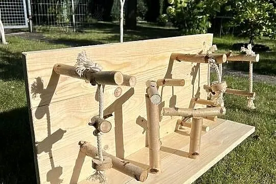 Plac zabaw dla mniejszych papug, Śląskie, Ruda Śląska