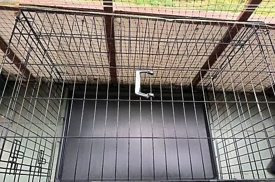 Sprzedam nową, dużą klatkę metalową- kojec dla psa plus metalowa pergola, Wielkopolskie, Konin