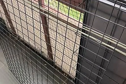 Sprzedam nową, dużą klatkę metalową- kojec dla psa plus metalowa pergola, Wielkopolskie, Konin