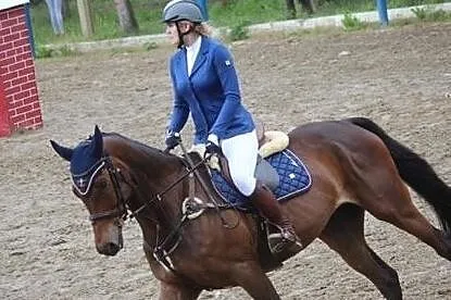 Sprzedam Wałacha do sportu, , 