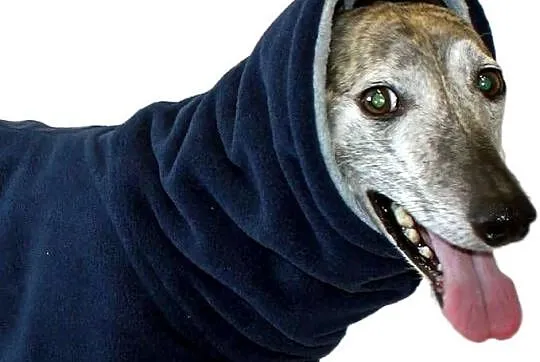 Cosipet Greyhound kurtka ubranko płaszcz dla psa 46 cm L, Mazowieckie, Warszawa