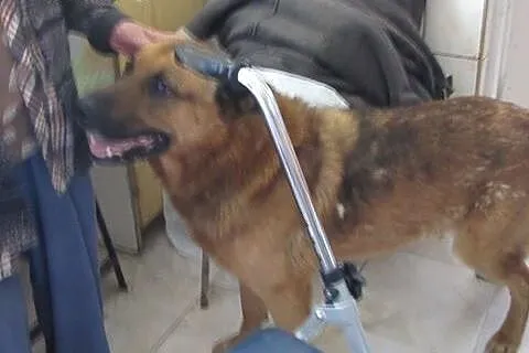 Chora, starsza kobieta prosi o pomoc dla swojego p