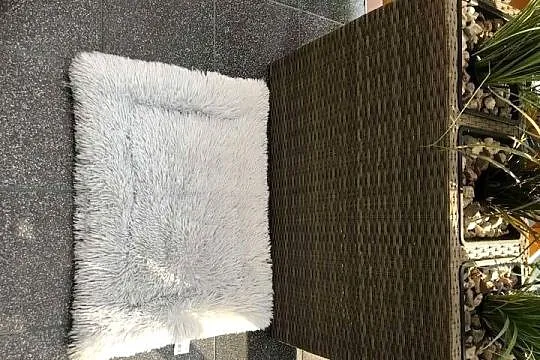 Kuweta Podkład dla Psa Nowa*Wymiary 70x50*Okazja*Olsztyn, Warmińsko-mazurskie, Olsztyn