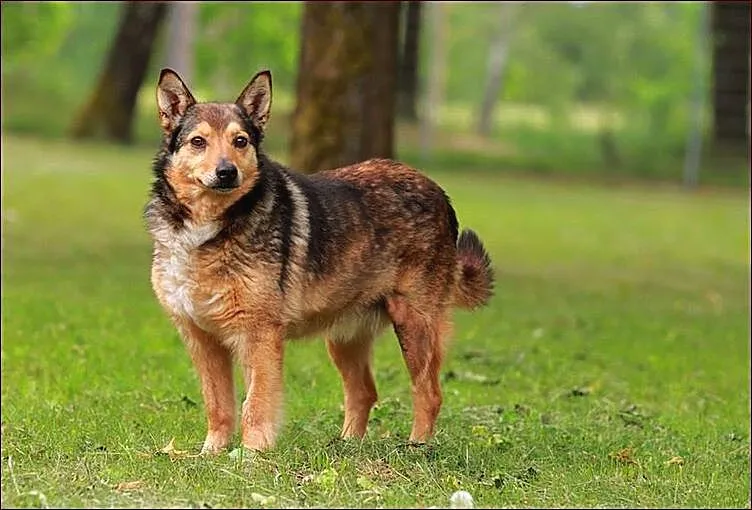 Fajna Walerka do przytulania :)