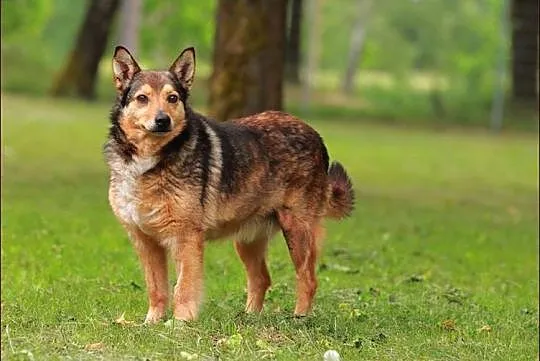 Fajna Walerka do przytulania :)