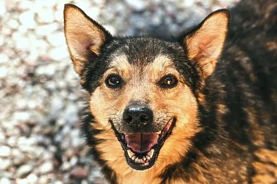 Fajna Walerka do przytulania :)