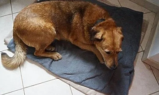 Pogodna Lejla czeka na Ciebie, mazowieckie Warsza