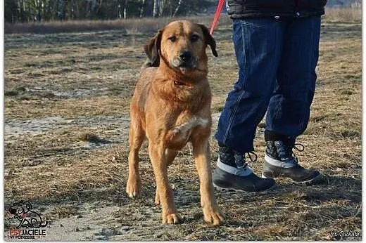 Pogodna Lejla czeka na Ciebie,  mazowieckie Warsza