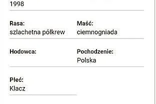 Sprzedam odsadka klacz, , Ryjewo