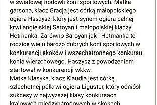 Sprzedam odsadka klacz, , Ryjewo
