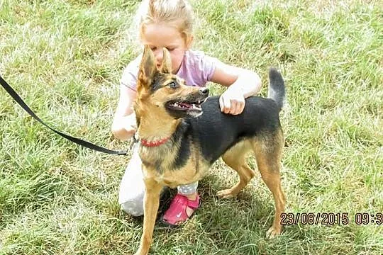 Hope - wyjątkowa i bezproblemowa suczka szuka domu