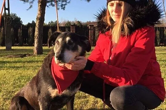 Frania, urocza sunia szuka domu!,  Kundelki cała Polska, 