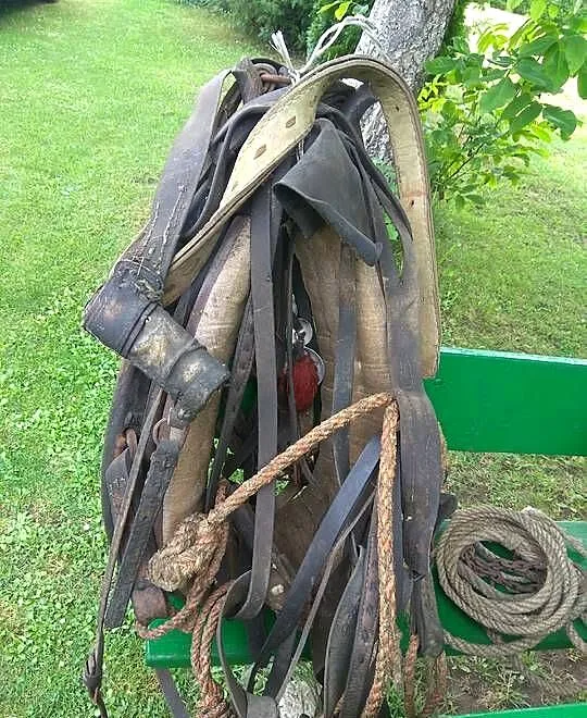 Zestaw konny, Łódzkie, Radomsko