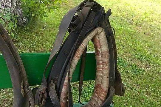 Zestaw konny, Łódzkie, Radomsko