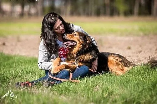 BROOKLYN - inteligencja i majestat w psim ciele! W