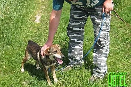 Rego wciąż czeka na swój dom