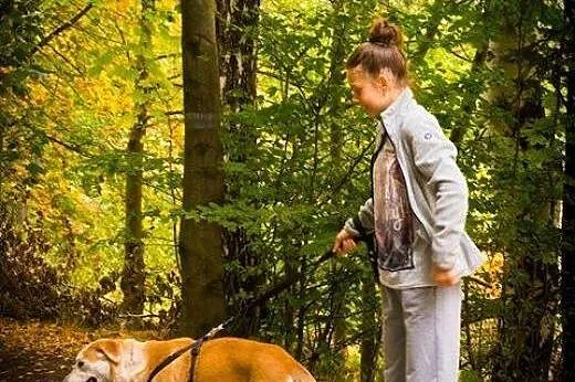 Szakira uwolniona z wrastającego w szyje łańcucha,