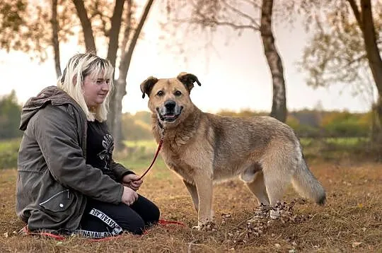 Gucio, cudowny psiak uratowany przed śmiercią, Mazowieckie, Warszawa