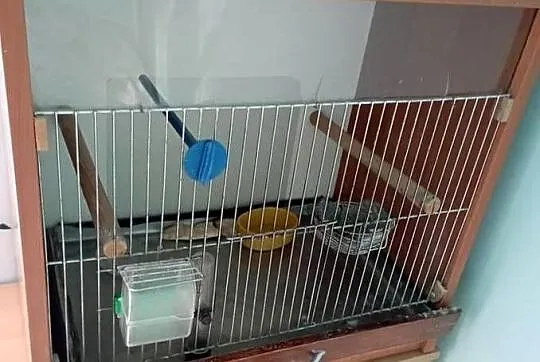 Sprzedam klatkę domek dla ptaków
