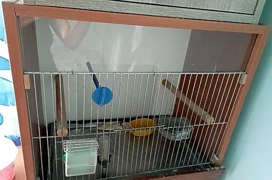 Sprzedam klatkę domek dla ptaków, Małopolskie, Kraków