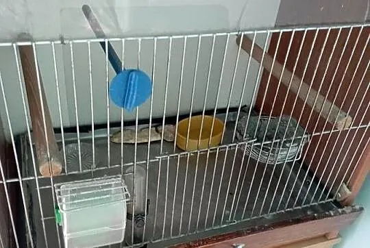 Sprzedam klatkę domek dla ptaków, Małopolskie, Kraków