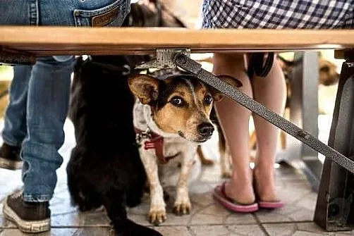 Na twe chandry, na twe smutki oto lek jest przesło