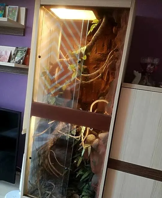 Sprzedam terrarium dla kameleona, gekona lub weża, Dolnośląskie, Wrocław