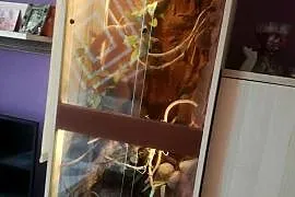 Sprzedam terrarium dla kameleona, gekona lub weża
