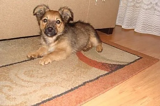 Maleńka Tusia porzucona na pastwę losu przed sklep