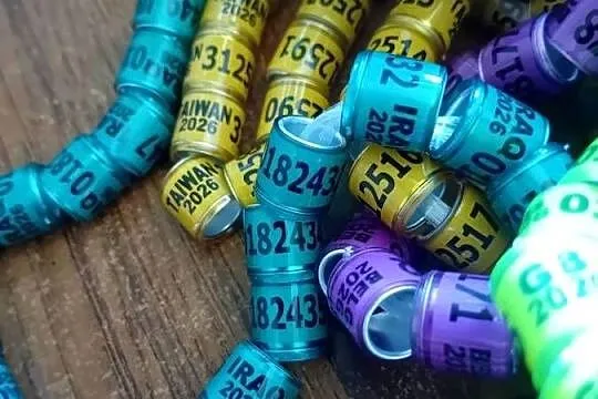 Obrączki dla gołębi 2026,8mm, Świętokrzyskie, Opatów